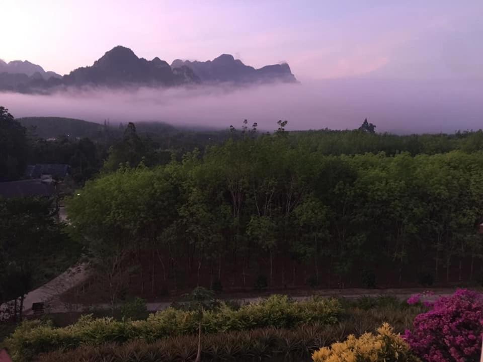 Billion Views Khaosok Homestay Khao Sok National Park Exterior photo