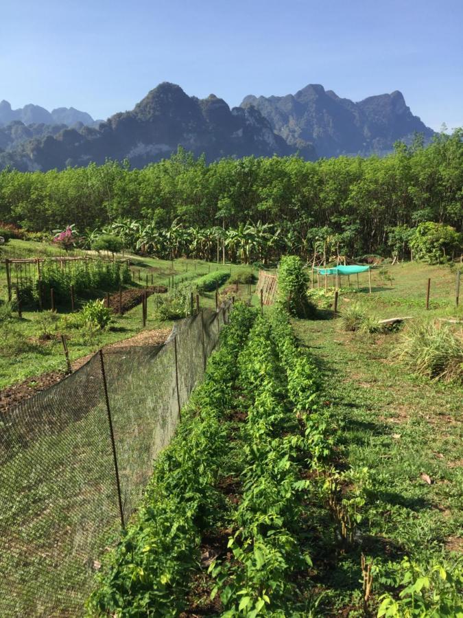 Billion Views Khaosok Homestay Khao Sok National Park Exterior photo