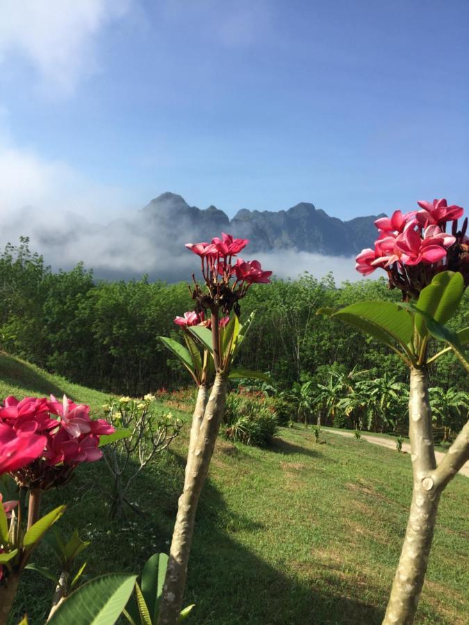Billion Views Khaosok Homestay Khao Sok National Park Exterior photo